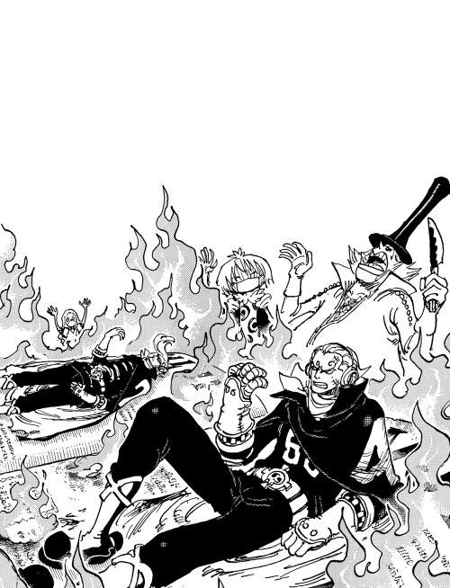 How!? The book in the lab has started to burn and the two brothers have broken free! One Piece Cover