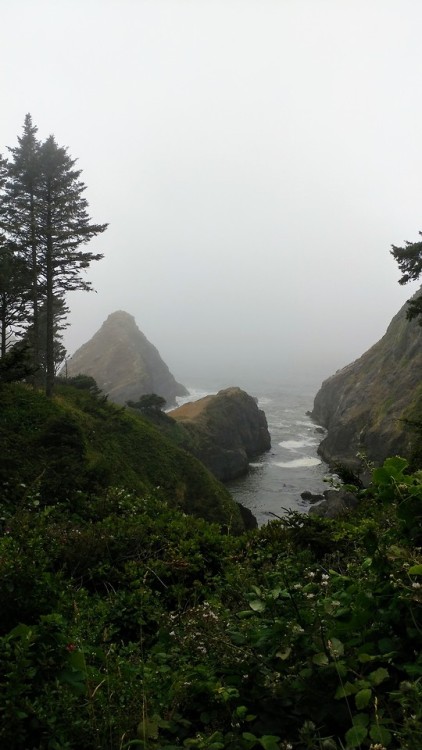 mongolpride:Marine layer rolling in - Heceta Head Lighthouse State Scenic Viewpoint - 07.22.2018