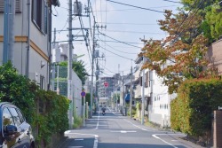 tokyogems:  simply walking around the neighborhood