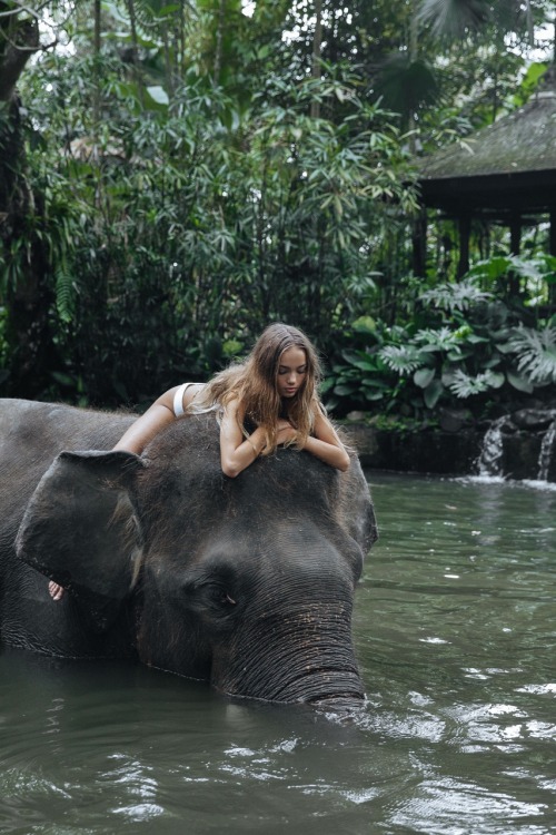inka-williams:   In a perfect world, wildlife sanctuaries would be obsolete and animals would roam f