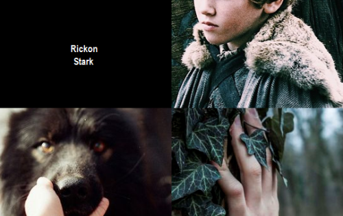 Favourite TV shows: Game of ThronesPicspam: Houses: Stark