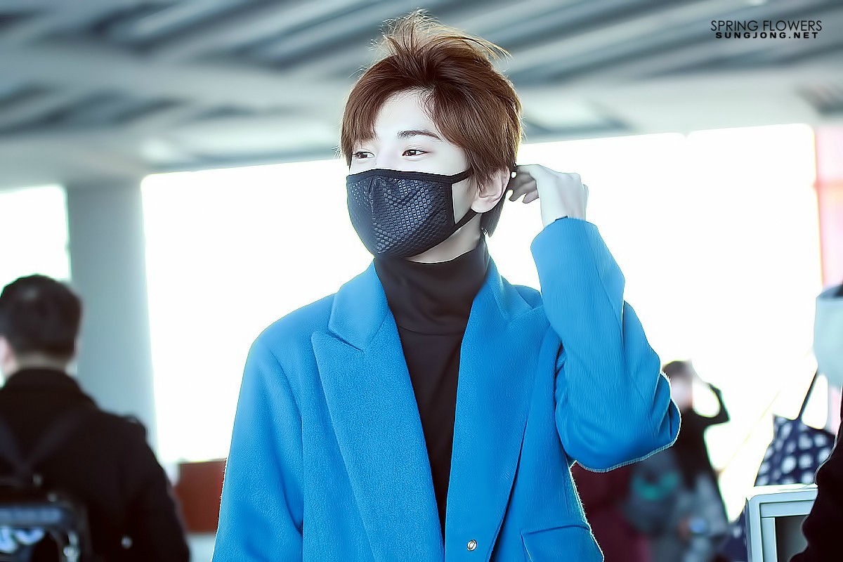 ifntjjong: 150116 Gimpo Airport© SPRING FLOWERS | Please do not edit/crop/remove