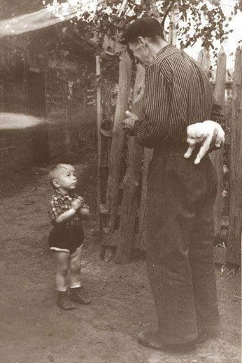 lucifer-the-fallen-pancake-angle:lostinhistorypics:Little boy about to receive a dog for his birthda