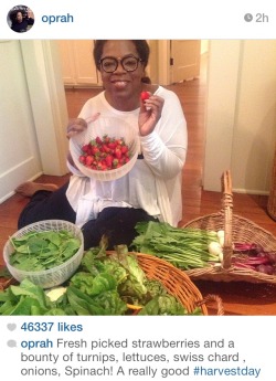 curvesincolor:  Oprah is living the LIFE.  
