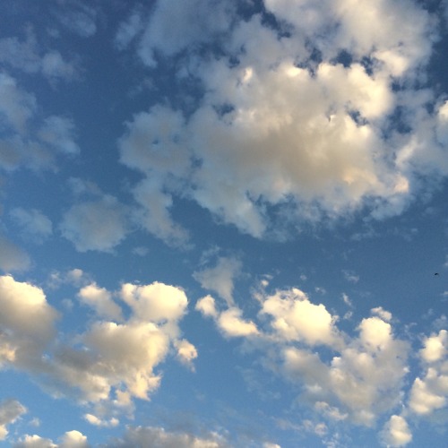 sunflowrrbabe:Look at the clouds .. look at them !!!