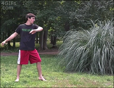 For animated GIFs