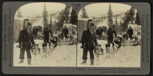 Gold miners and dog team north of the Arctic Circle (Alaska, c. 1879 - 1930).