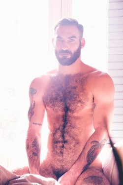 beardedandburly:  Unknown beard [Follow BeardedandBurly]