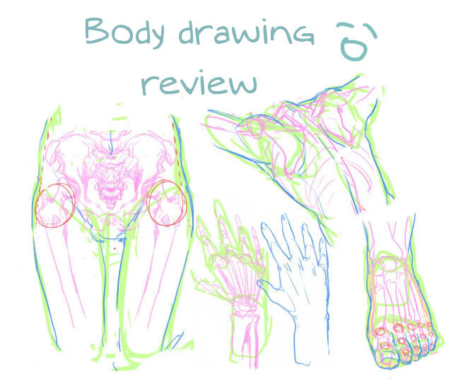 losthitsu:  Body drawing review - translated version.  Finally, Someone actually