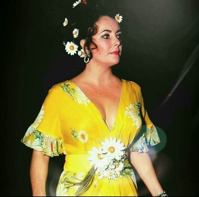 Elizabeth Taylor wins Best Foreign Actress for 