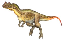 a-dinosaur-a-day:  Ceratosaurus(ser-AT-oh-SORE-us)