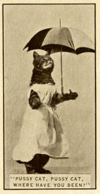 A cat poses for a cigarette card, found in