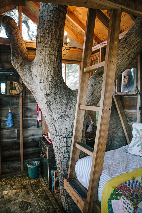 Porn Pics treehauslove:  San Francisco Treehouse. A