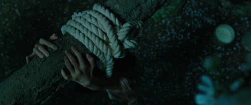 The Handmaiden + ropes