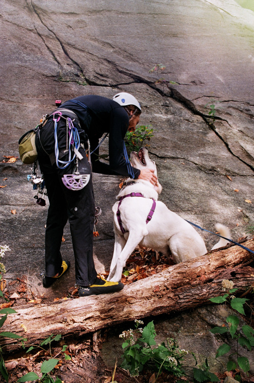 Hushpuppy greets jimmy after a climb