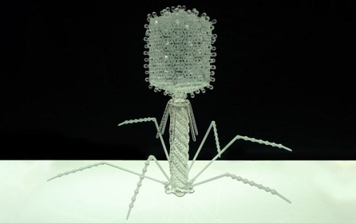sixpenceee:  Luke Jerram makes exact glass replicas of harmful viruses. Each replica is 1,000,000 times the size of the actual virus. From top to bottom we have swine flu, HIV, T4 bacteriophage, malaria, small pox, SARS,HPV & E. Coli.  
