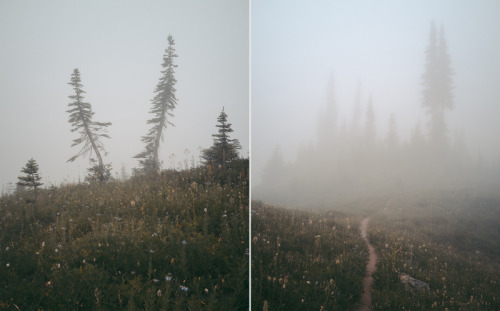 foxmouth:Tahoma, 2016 | by Cody Cobb