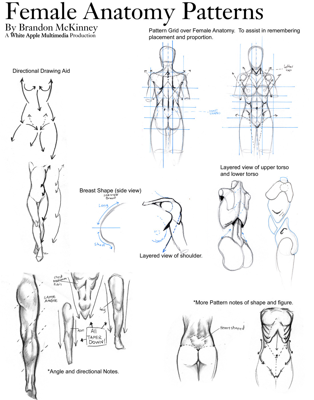 Female human body parts