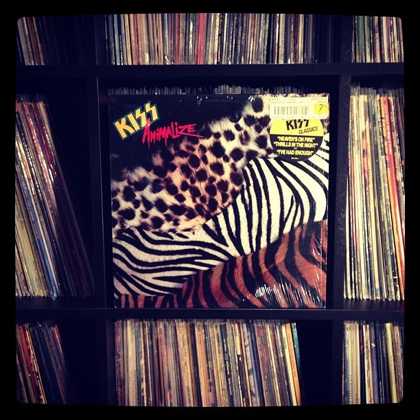 vinylpairings:  My contribution to this weeks #vinylparty. #nowspinning #kiss #animalize