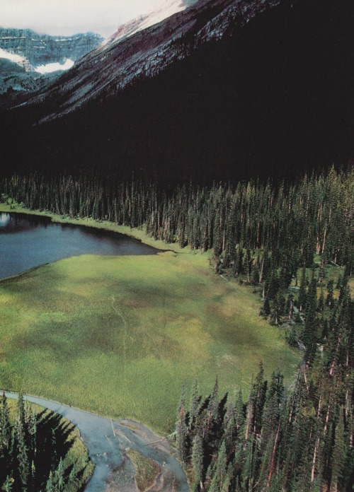 retrospectia: National Geographic’s Canada’s Wilderness Lands