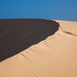 941223:  Strange Dunes  Giant Clusters Of Crescent-Shaped Sand Dunes Found Not Just