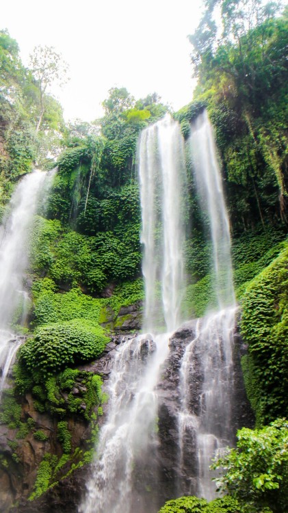 island-bali:  The tallest waterfall in Bali called Sekumpul. Even though it is an amazing and beauti