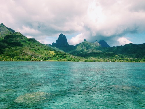 ambermozo:  Haapiti. Moorea, Tahiti. 