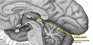 I know you are right about NASA and the earth if people would open their minds and