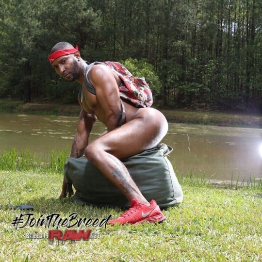 theholewhisperer:  