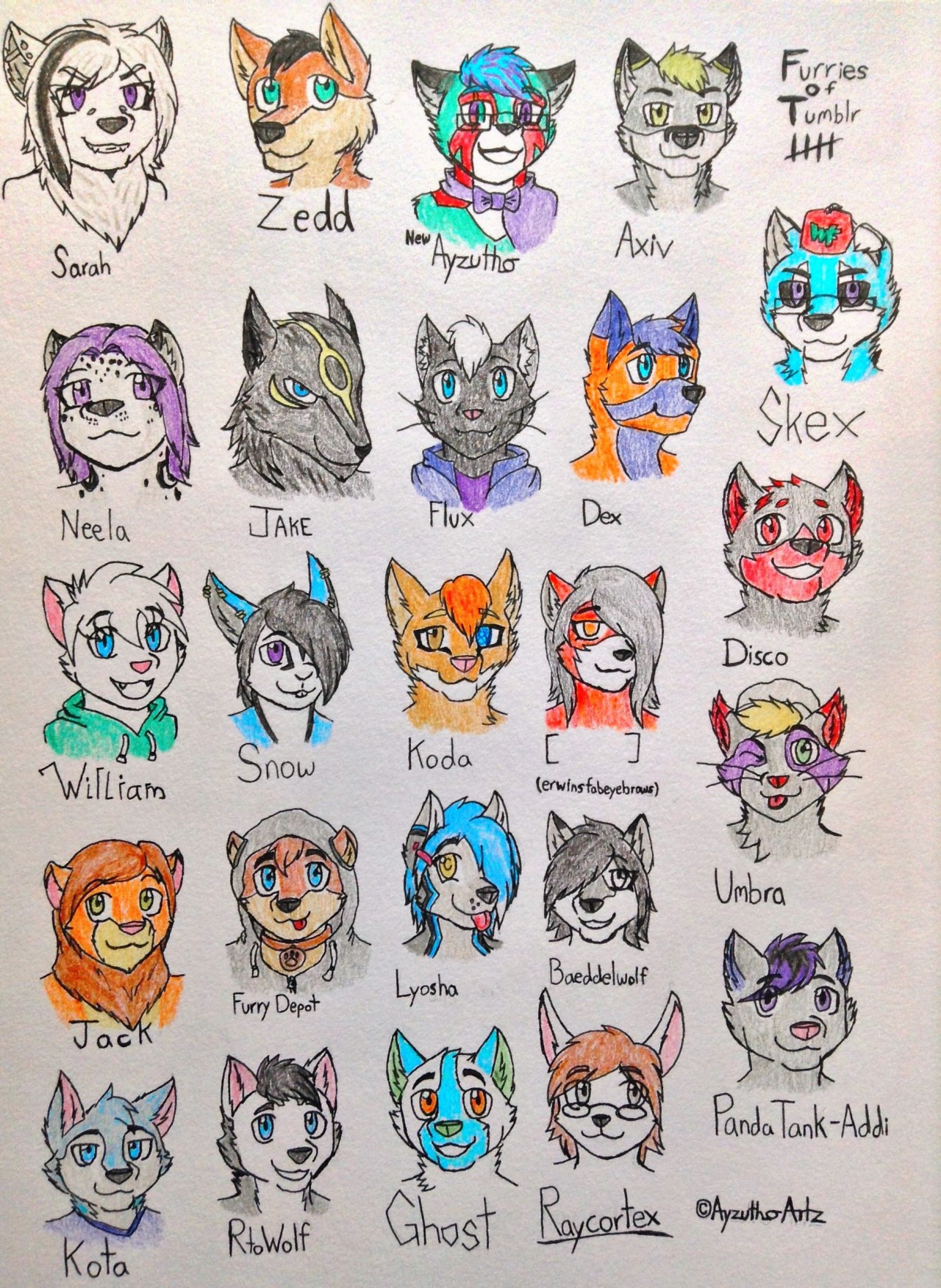 furrywolflover:  ayzutho-the-catfox:  Furries of Tumblr Collection  Aww I dont see