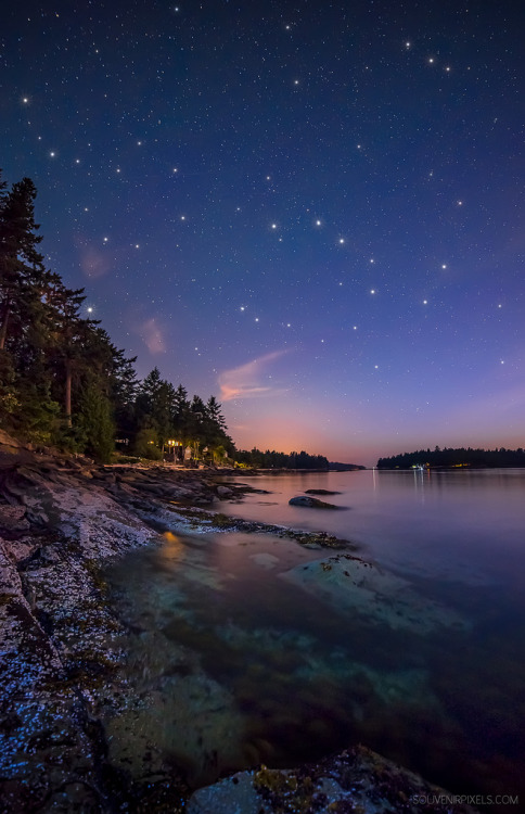 magicalnaturetour:  Galiano Island Stars (by `James Wheeler)