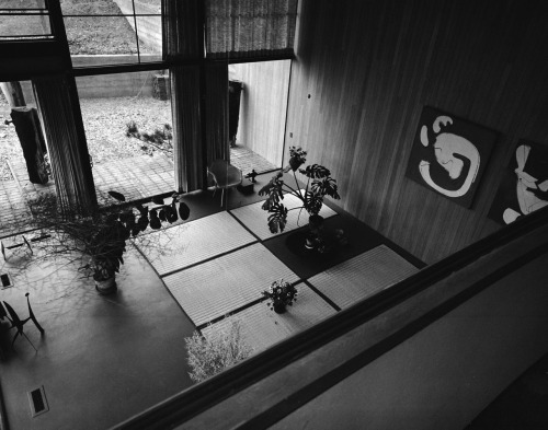 jonasgrossmann:peter stackpole… eames house, 1950 @ life