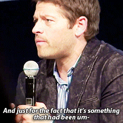 cassammydean:  Misha talks about LGBTQ equality 