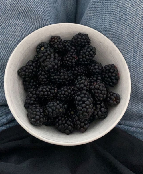 Fresh Fruit Inspo