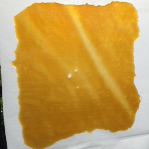 Porn clearlyadvanced:  The most typical slab picture photos