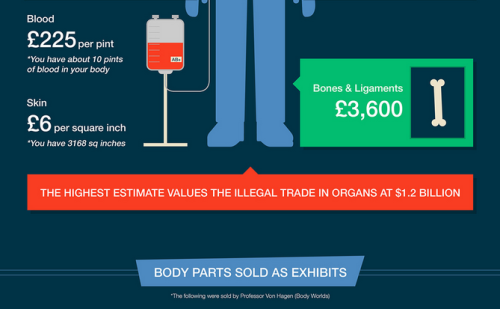 mypsychology:More cool infographic? Check out my blog @mypsychology.