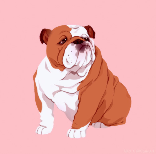 More Doggust illustrations, from left to right top to bottom we have the Pitbull, Bulldog, Finnish L