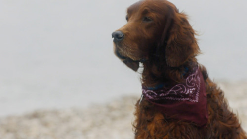 Am I The Only One That Noticed That Sherlock And Henry Knight (form The Hounds Of Baskerville) Did The