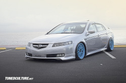 lowlife4life:  Acura tl by ino.pascual on