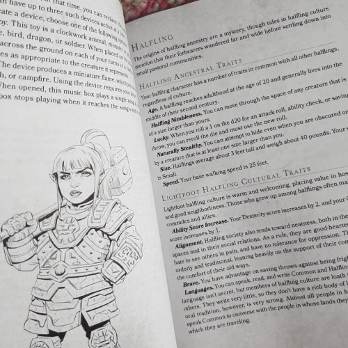 Ancestry & Culture: An Alternative To Race In 5e