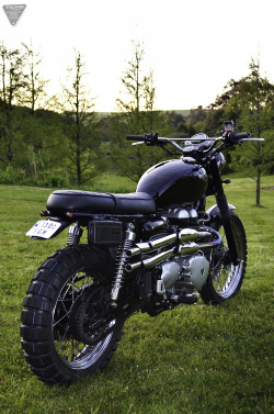 rankxerox:  Javier Alonsos 2006 Triumph Scrambler 