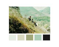 muximoff:  harry potter   color palette [x] 