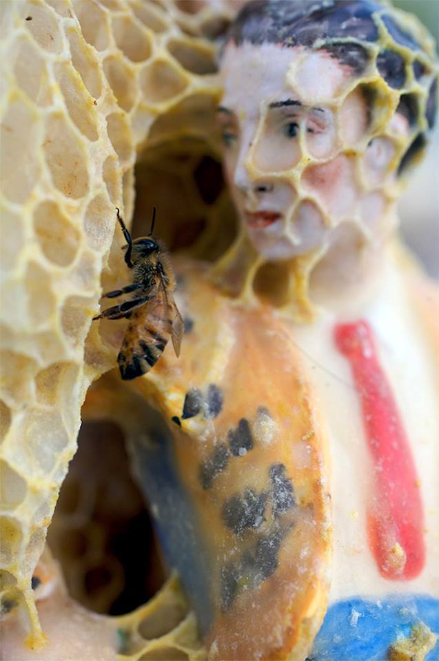 Artist Aganetha Dyck collaborates with bees to create sculptures wrapped in honeycomb