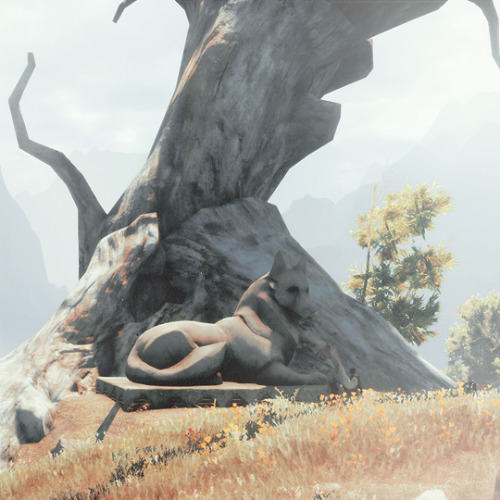 fadecloaked:The Twisted TreeThe tree on the hill made me deeply uneasy. I chose not to camp there, e
