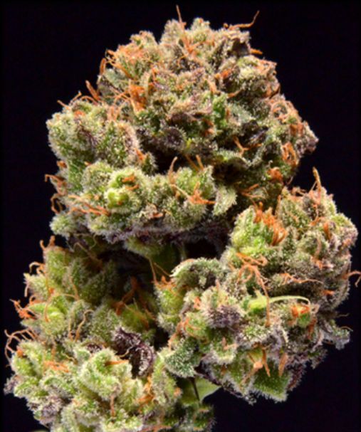 I am in love with Mary Jane