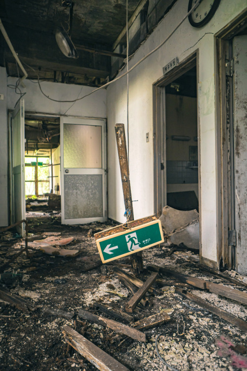 elugraphy: シダの生えたホステル-2Abandoned youth hostel with fern plants 02.