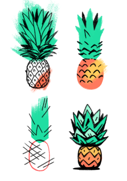 coleott:  pineapples 