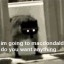 discount-crows