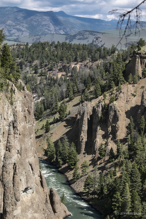 Heading North: The Yellowstone River near Tower Junction, Yellowstone National Park, Wyoming© r