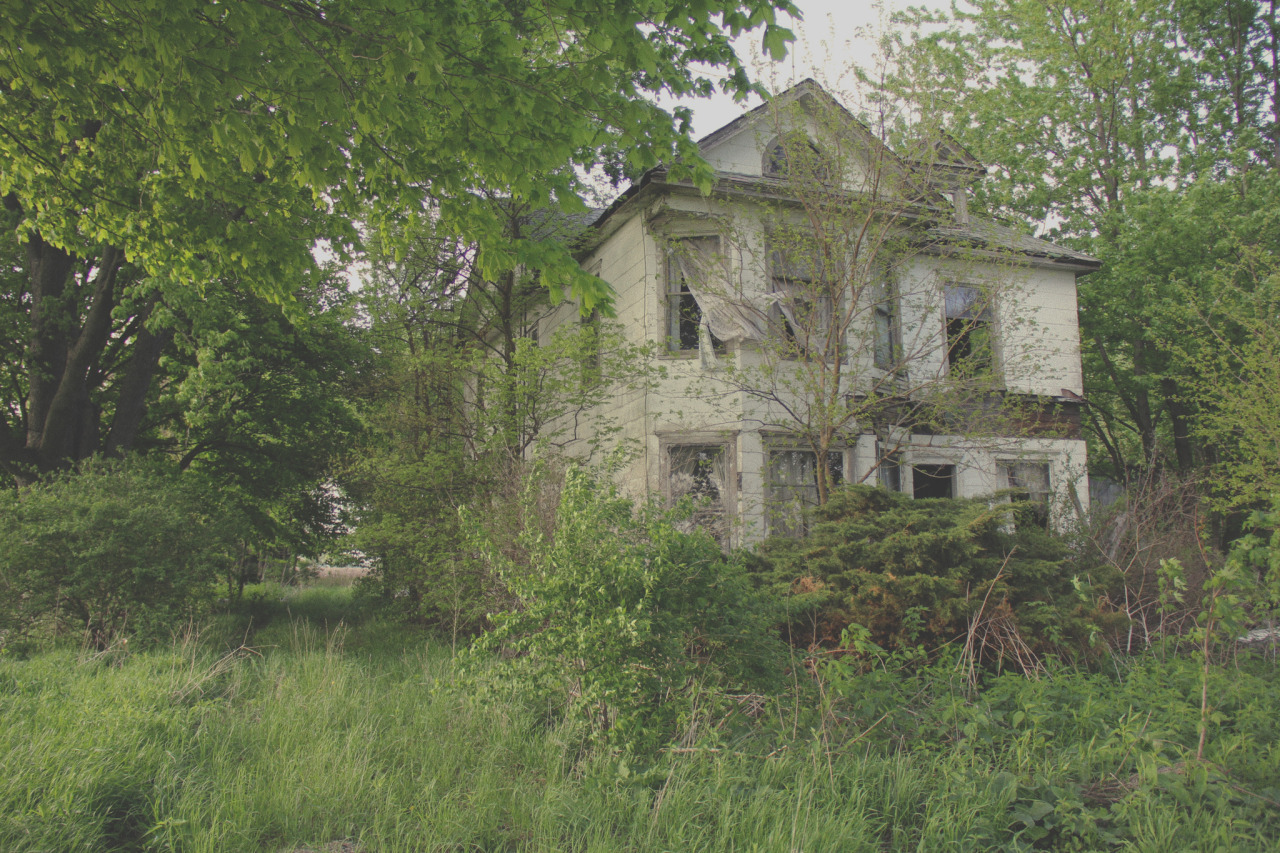 americanagothicesque:  Untitled, by Sara Rose Girkin  